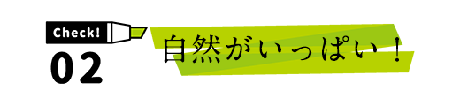 自然がいっぱい!