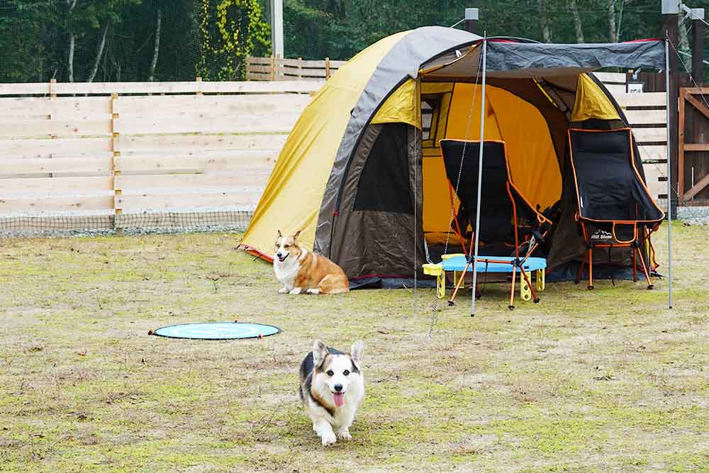 ドッグキャンプ福寿| 山梨県 山中湖村の犬と泊まれるキャンプ場