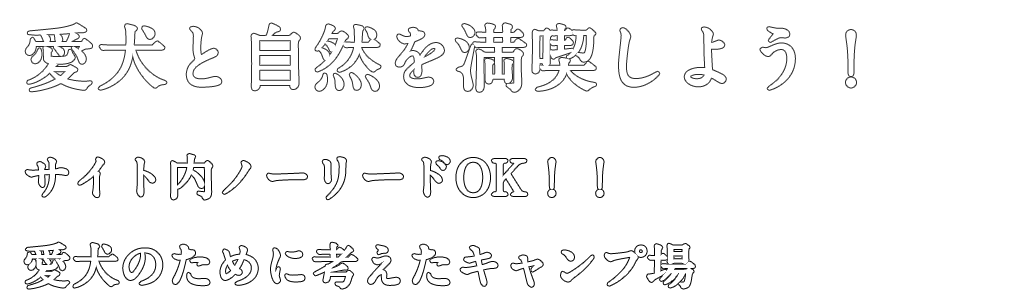 愛犬と自然を満喫しよう サイト内ノーリードOK 愛犬のために考えたキャンプ場