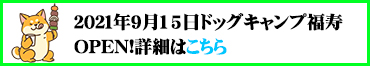 ドッグキャンプ福寿OPEN ドッグキャンプ福寿OPEN